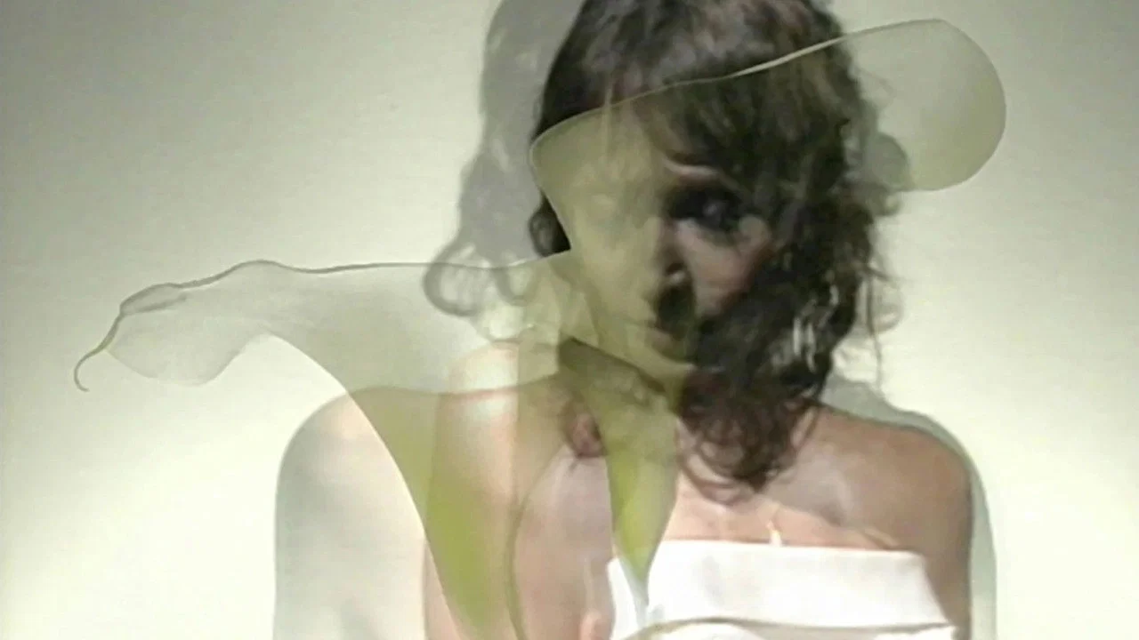 Backdrop for Turning