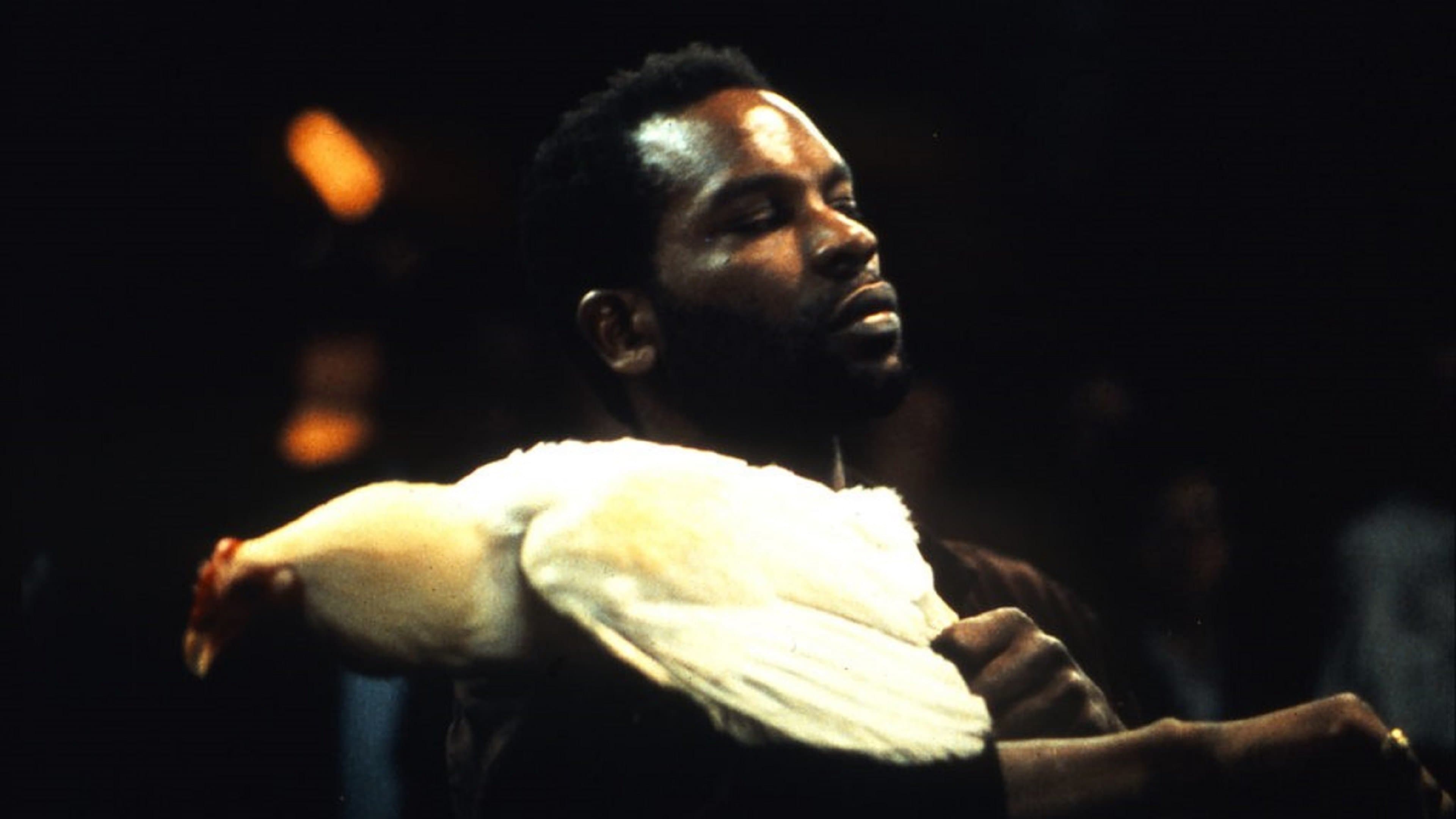 Backdrop for No Fear, No Die