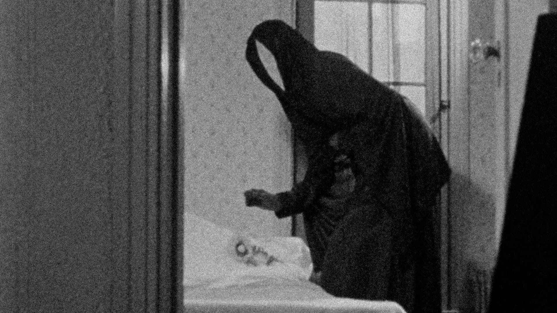 Backdrop for Meshes of the Afternoon