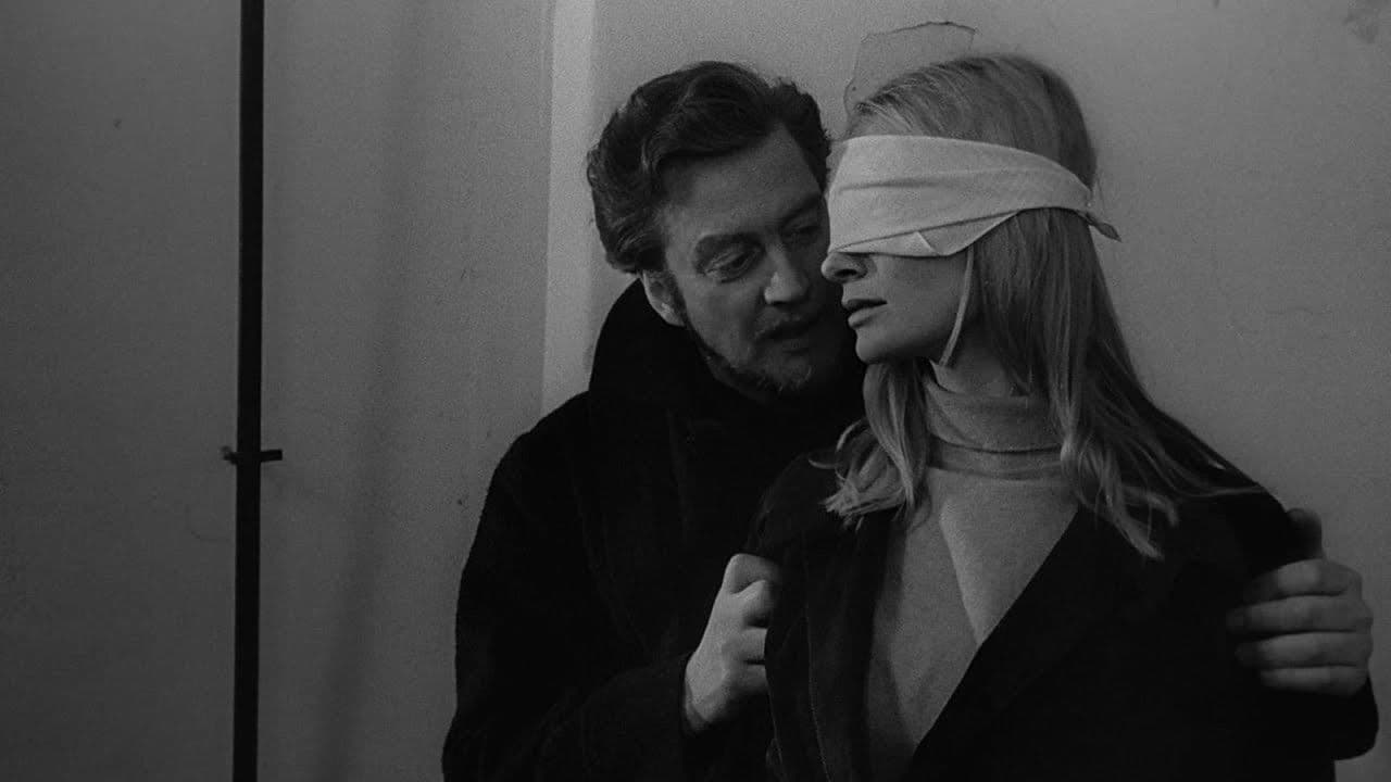 Backdrop for Night Games