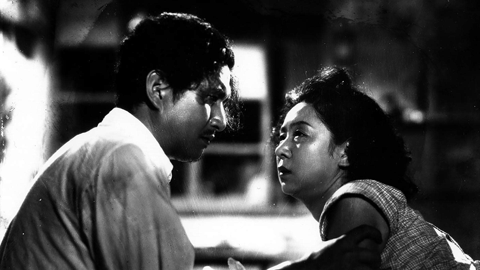 Backdrop for A Hen in the Wind