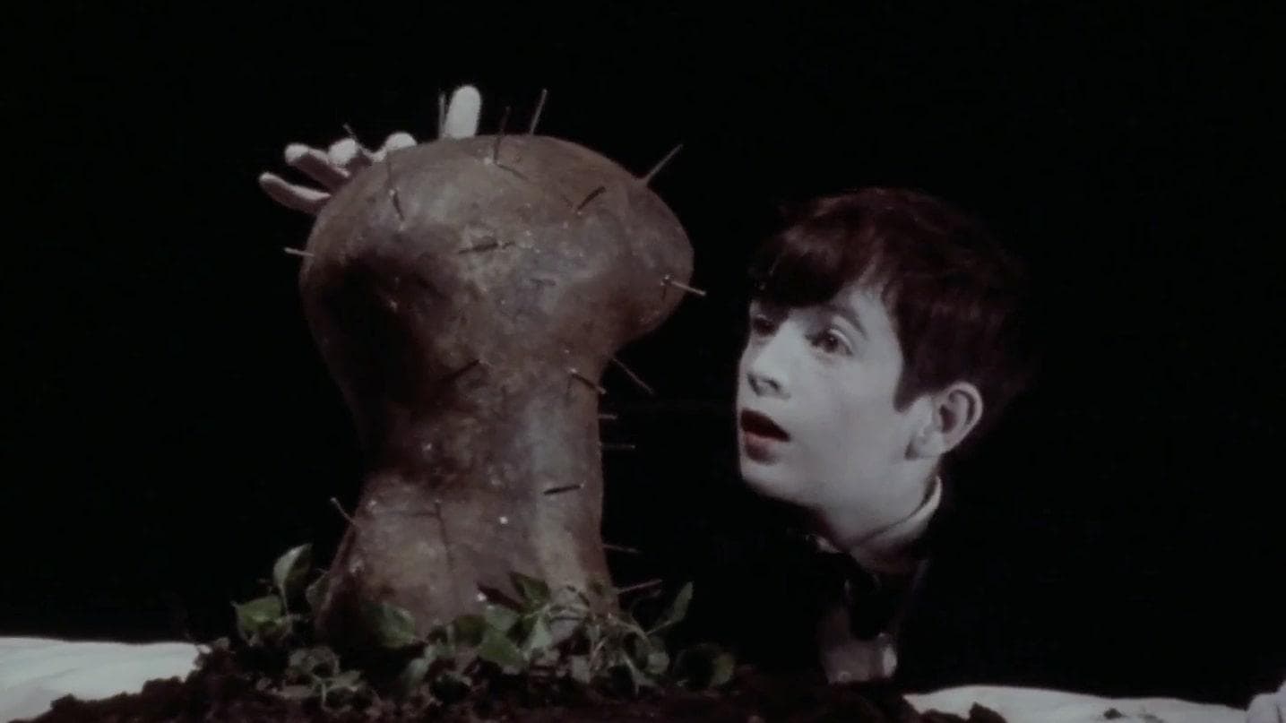 Backdrop for The Grandmother