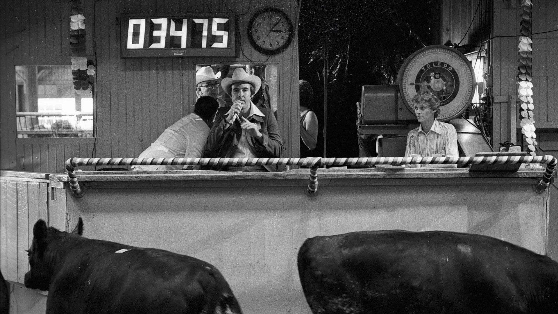 Backdrop for How Much Wood Would a Woodchuck Chuck?