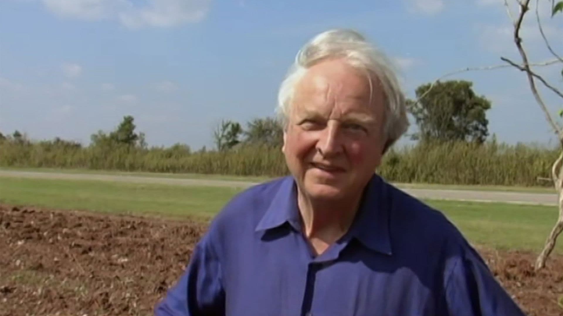 Backdrop for This Ain’t No Mouse Music