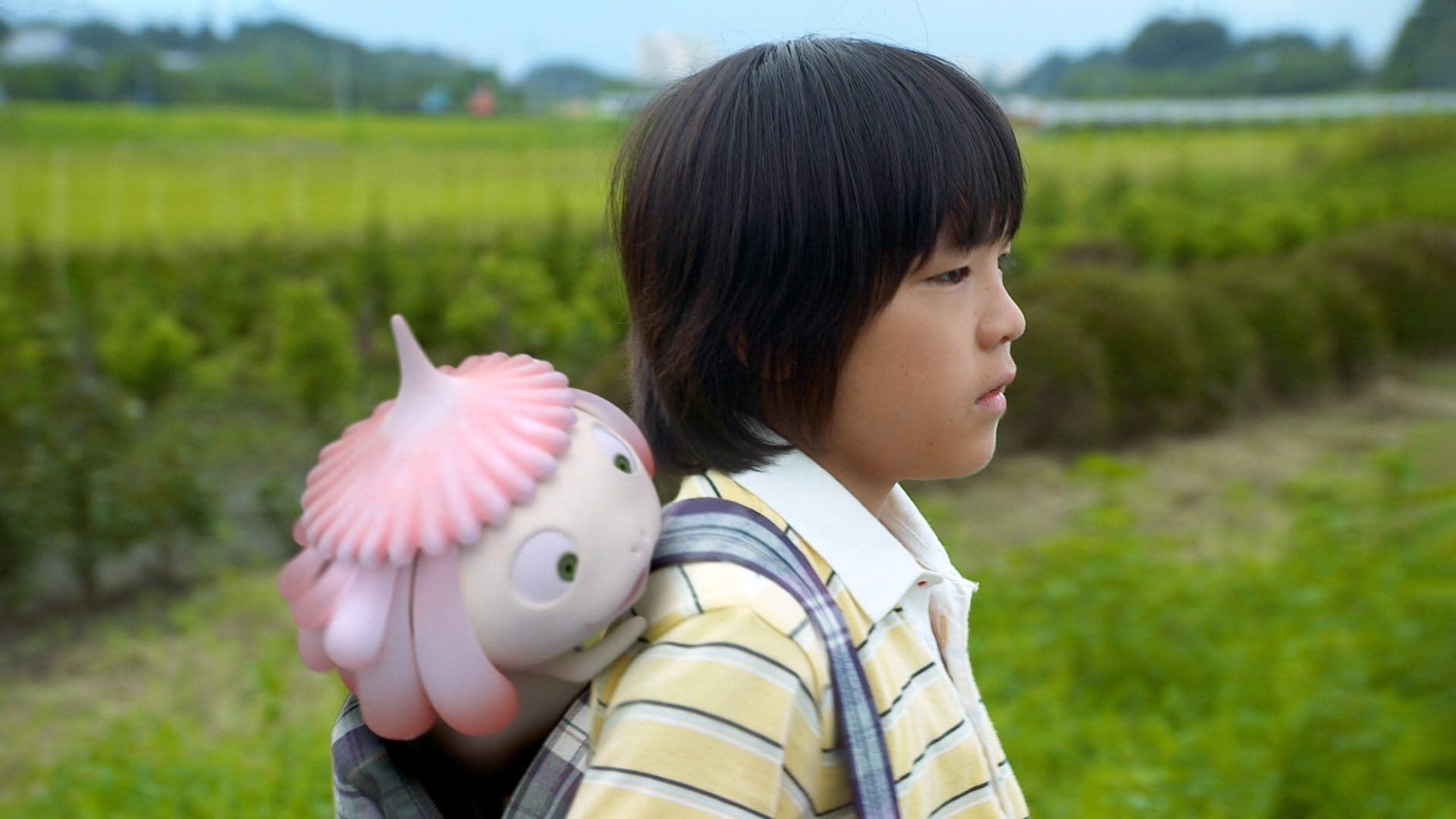 Backdrop for Jellyfish Eyes