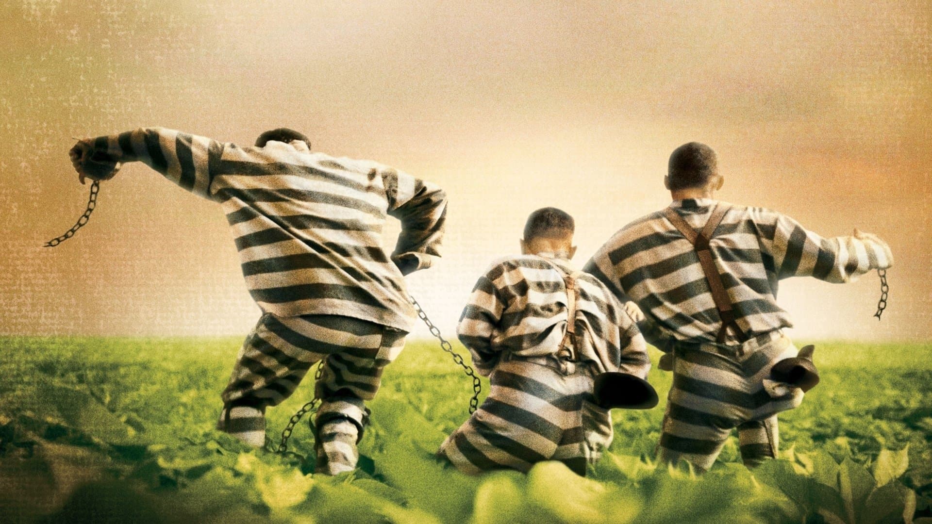 Backdrop for O Brother Where Art Thou