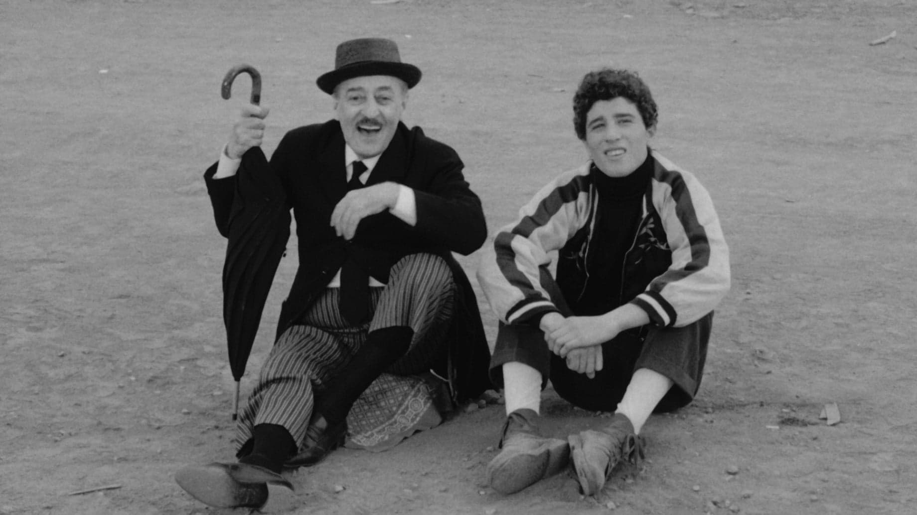 Backdrop for The Hawks and the Sparrows