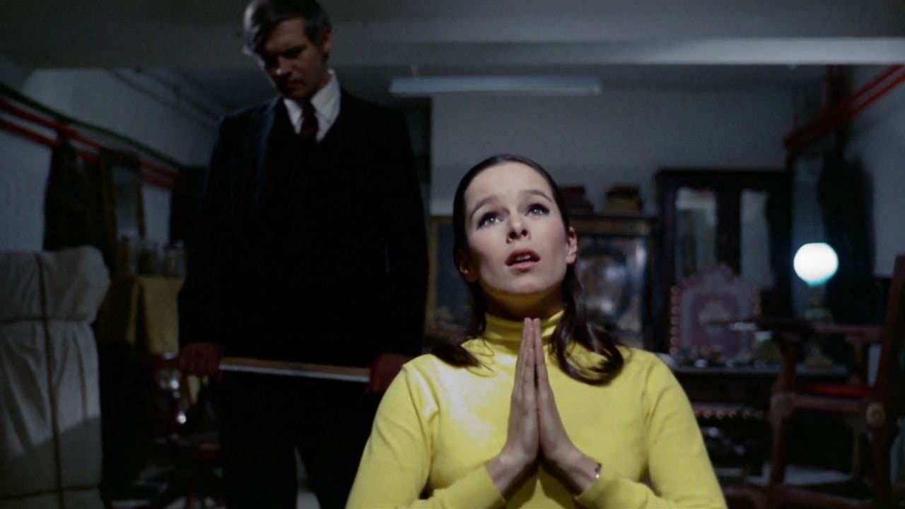 Backdrop for Honeycomb