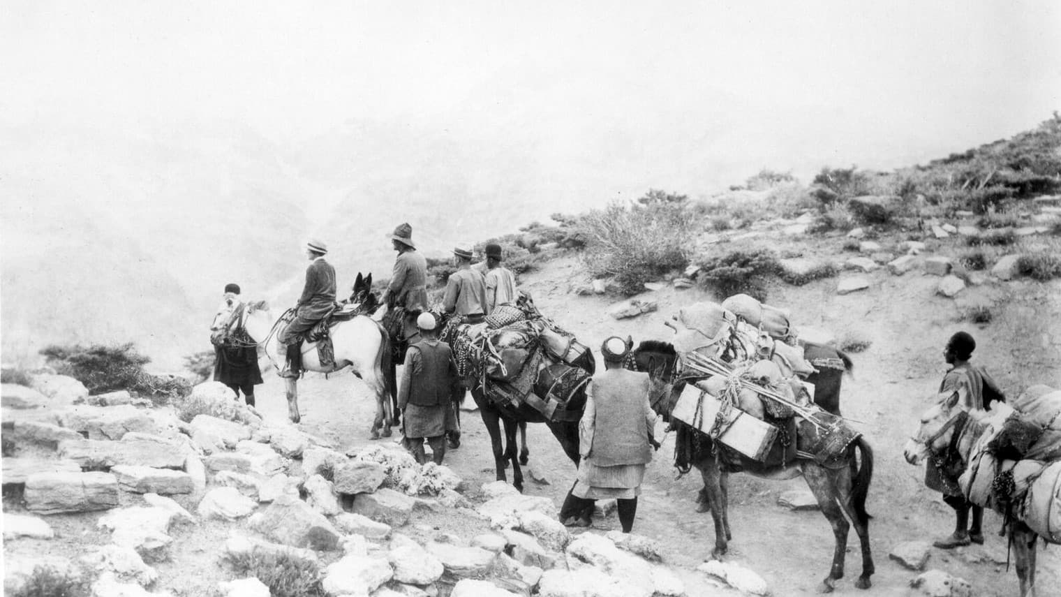 Backdrop for Grass: A Nation’s Battle for Life