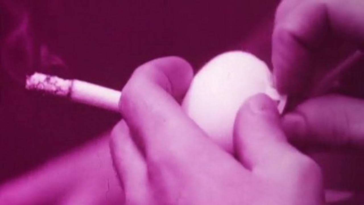 Backdrop for Process Red