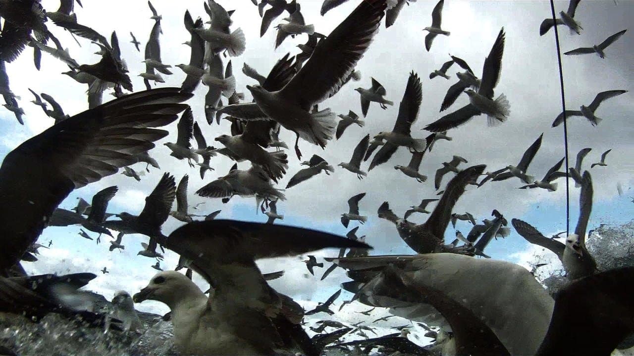 Backdrop for Leviathan
