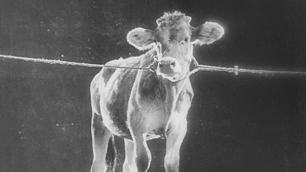 Backdrop for The Old and the New