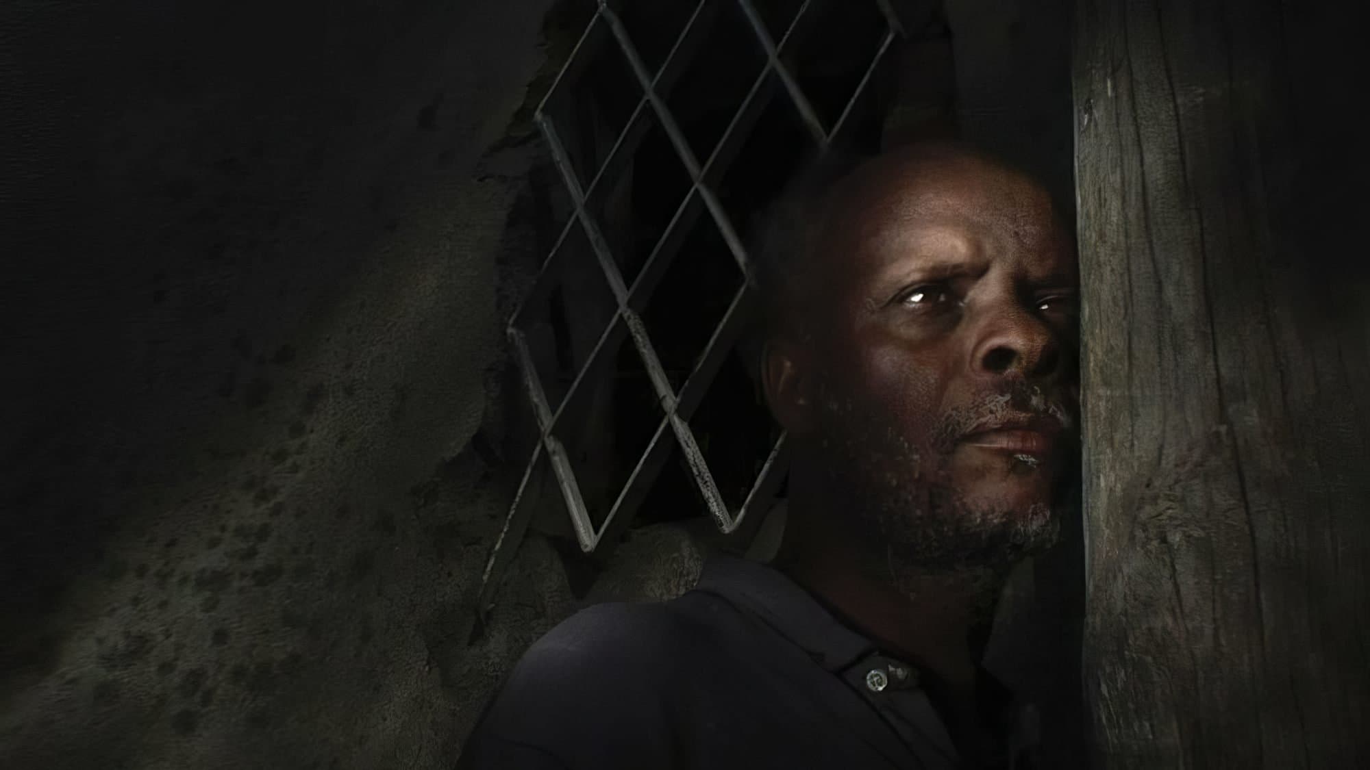 Backdrop for Colossal Youth