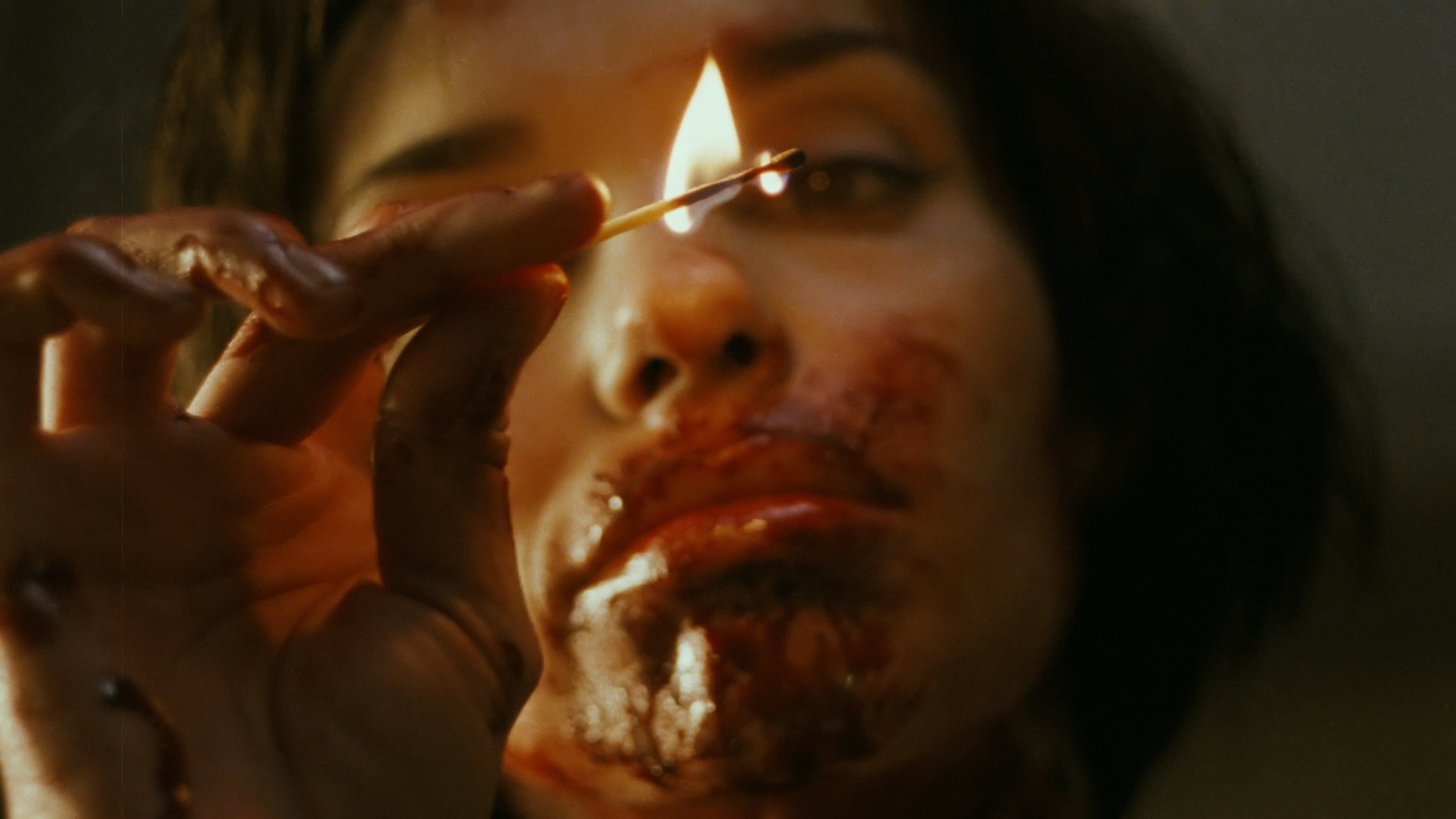 Backdrop for Trouble Every Day