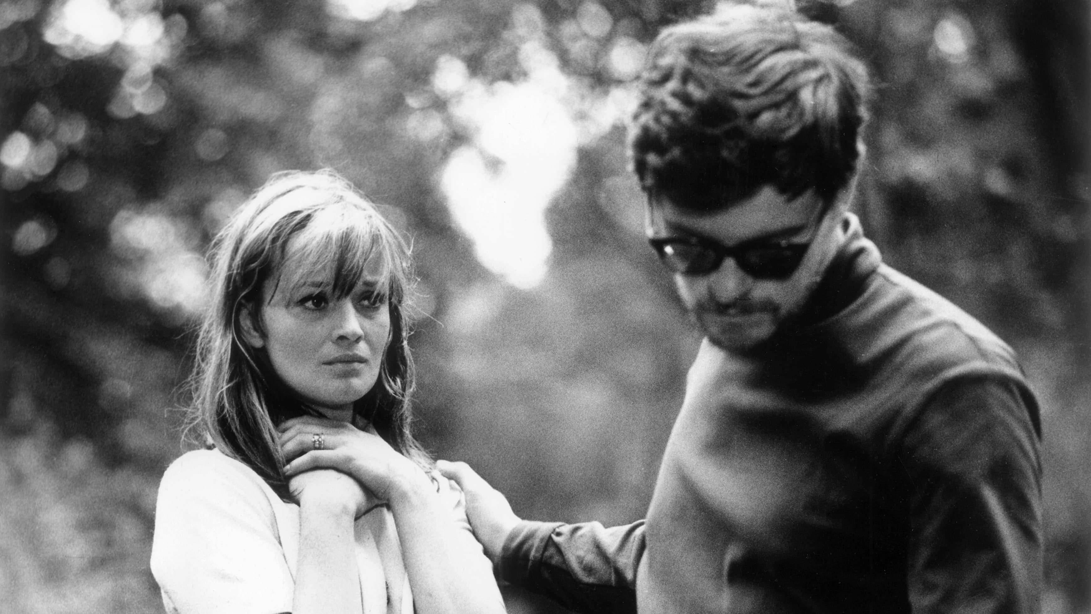 Backdrop for Return of the Prodigal Son