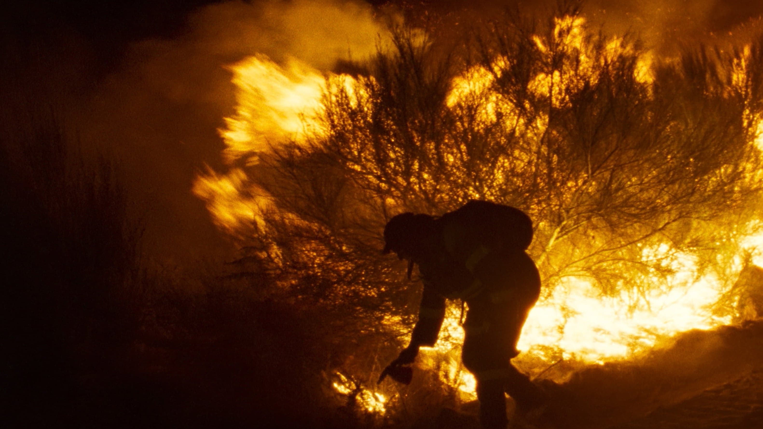 Backdrop for Fire Will Come