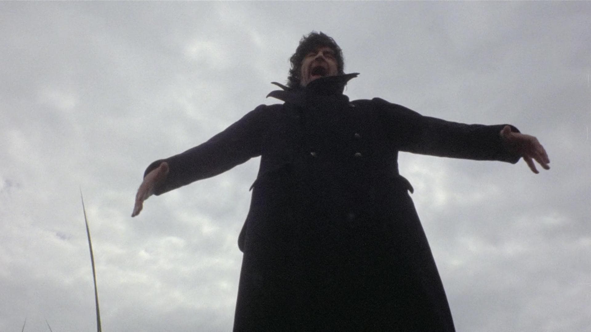 Backdrop for The Shout