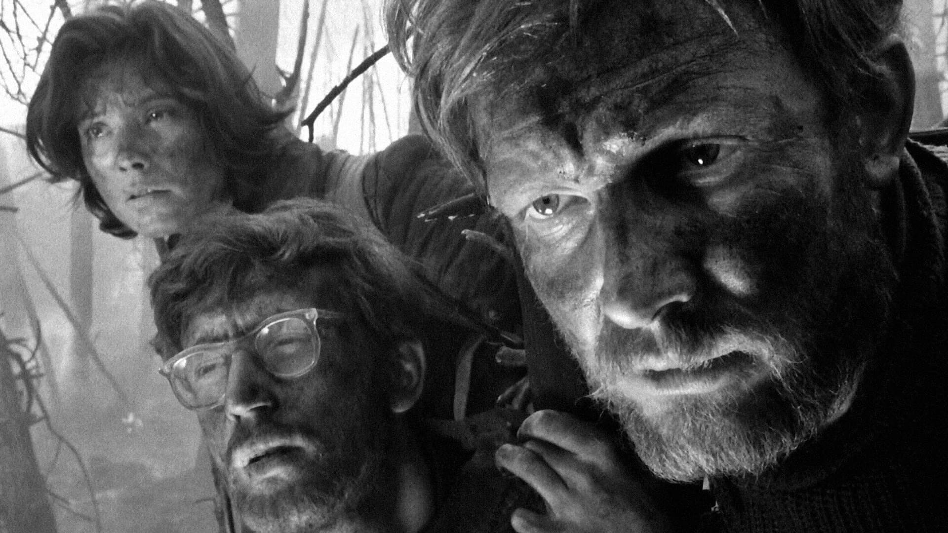 Backdrop for Letter Never Sent