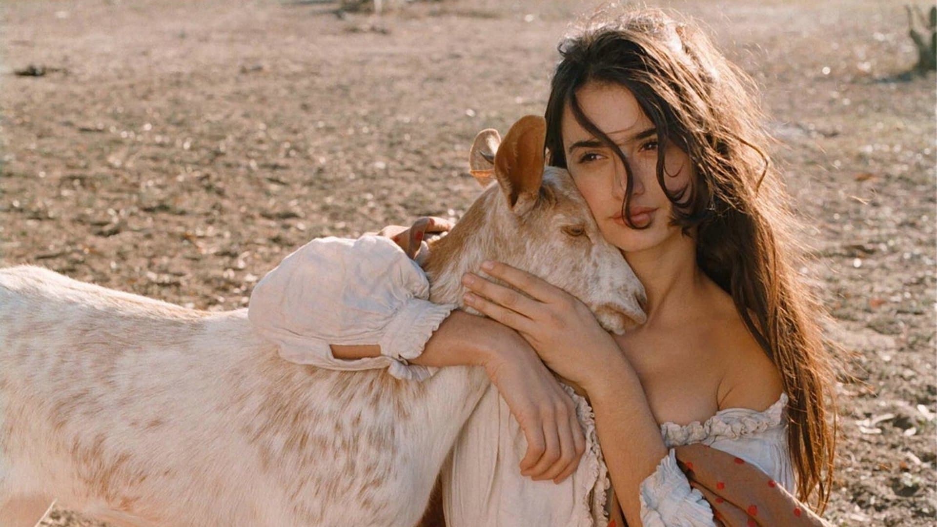 Backdrop for Volavérunt