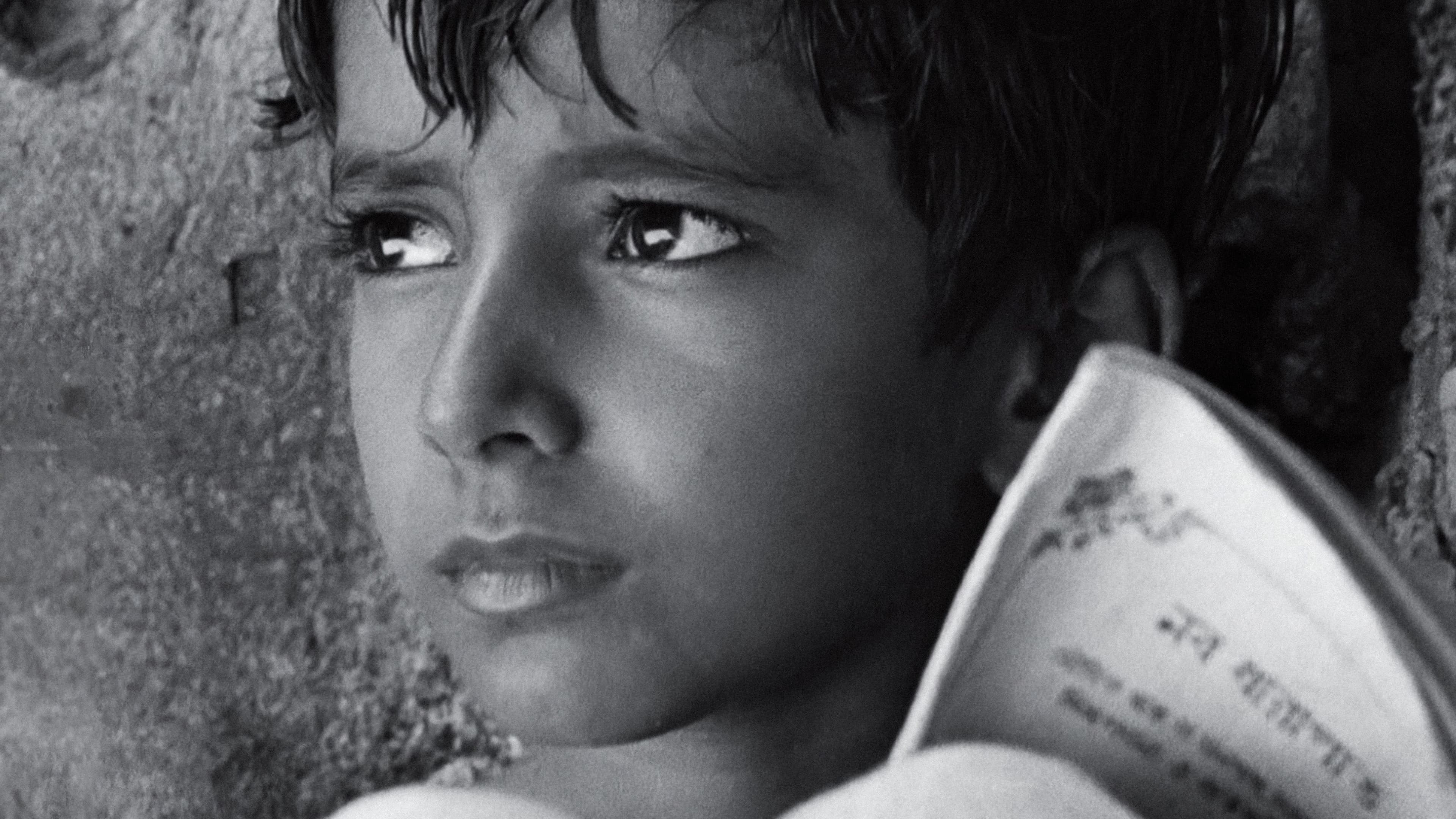 Backdrop for Pather Panchali