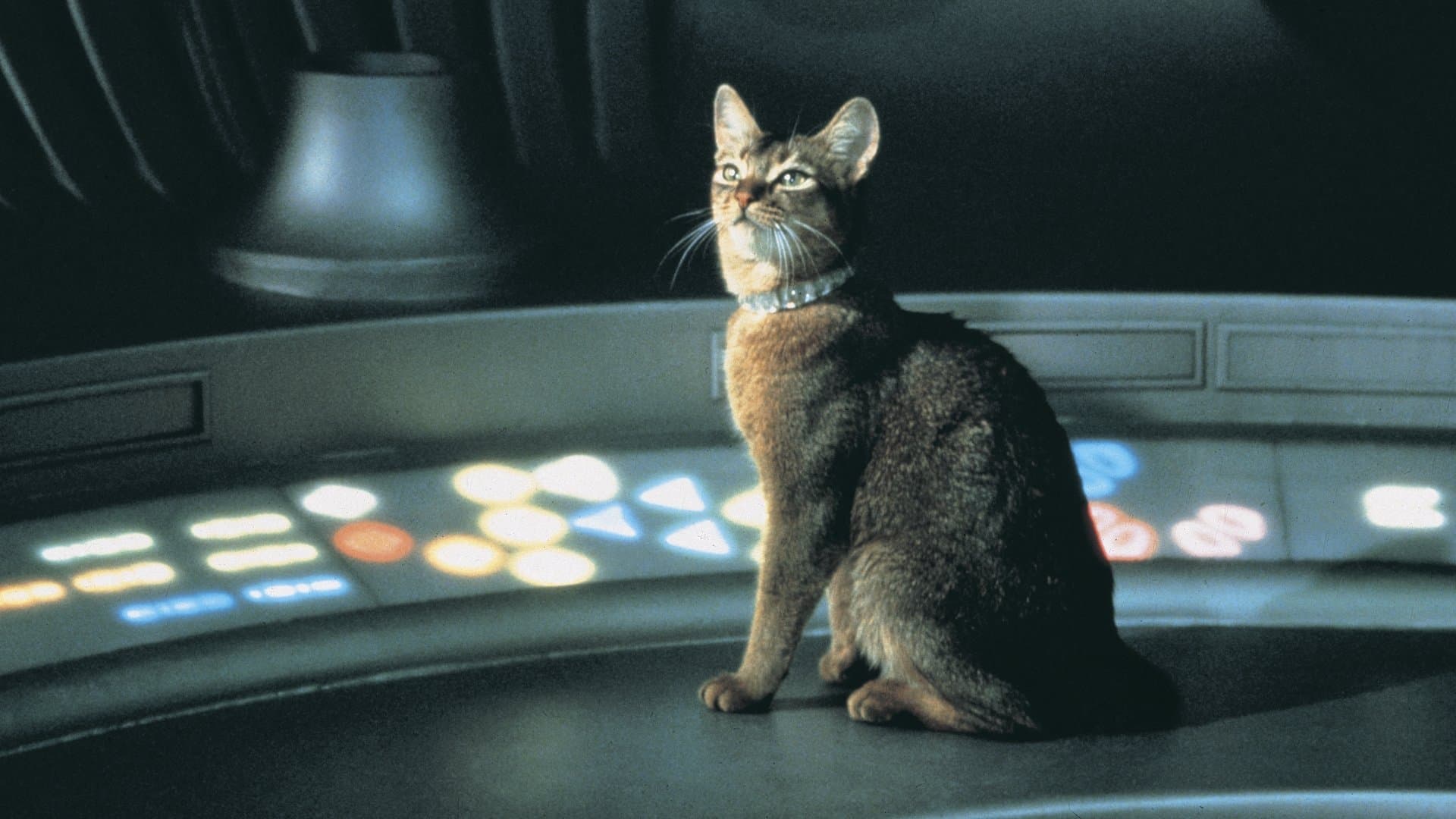 Backdrop for The Cat from Outer Space