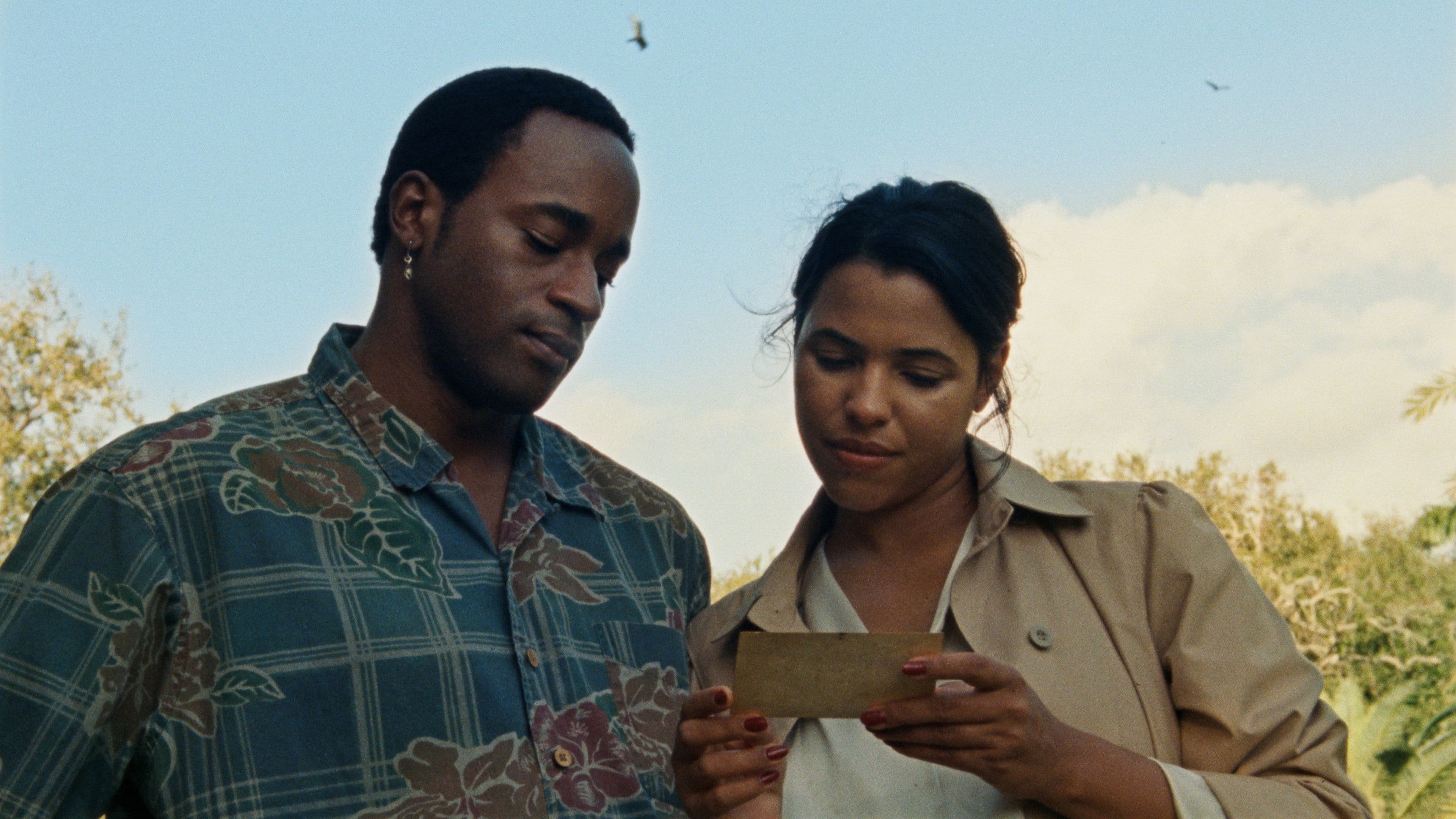 Backdrop for The Ballad of Suzanne Césaire