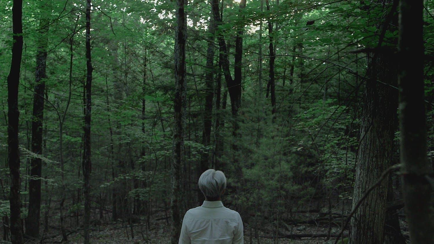 Backdrop for Ryuichi Sakamoto: CODA