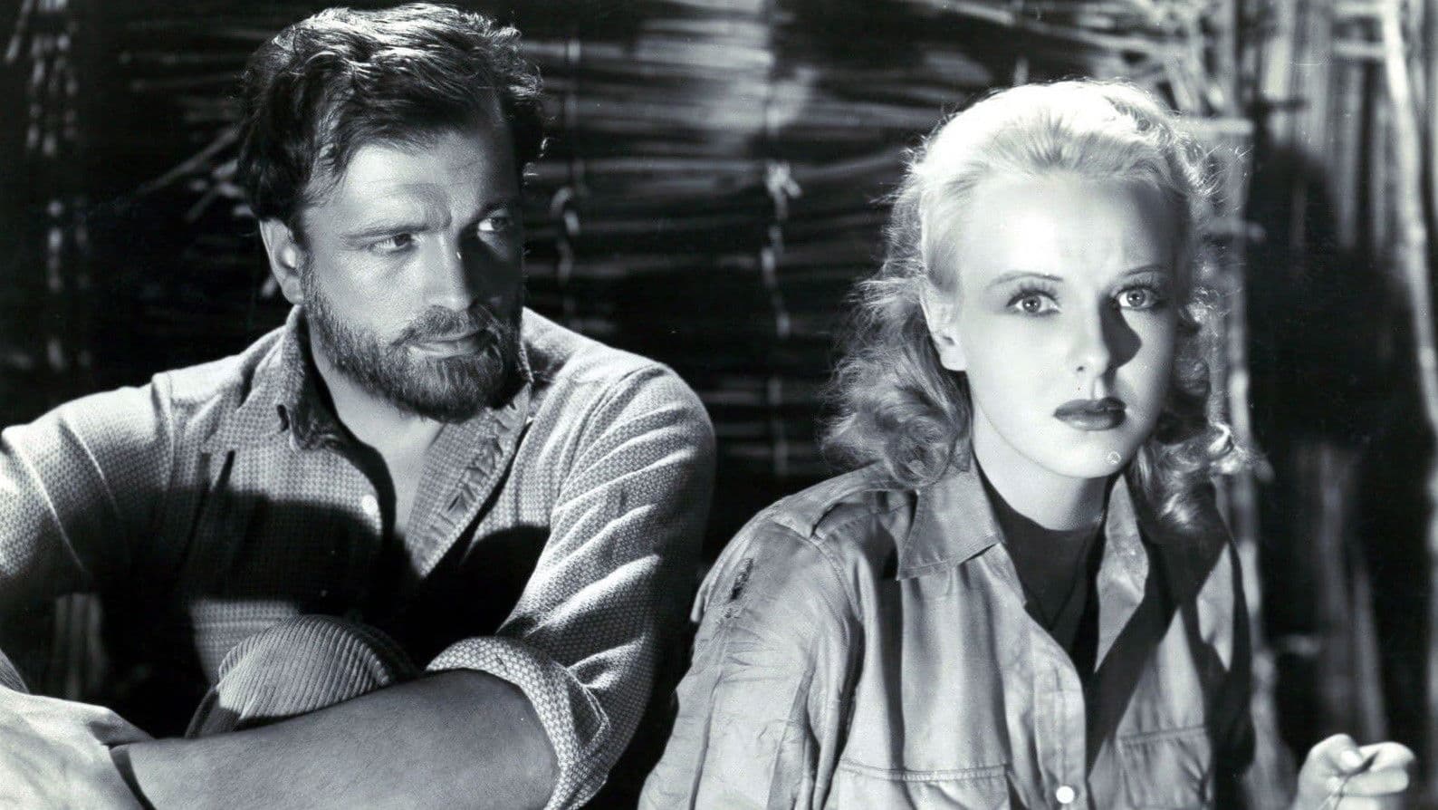 Backdrop for King Solomon’s Mines