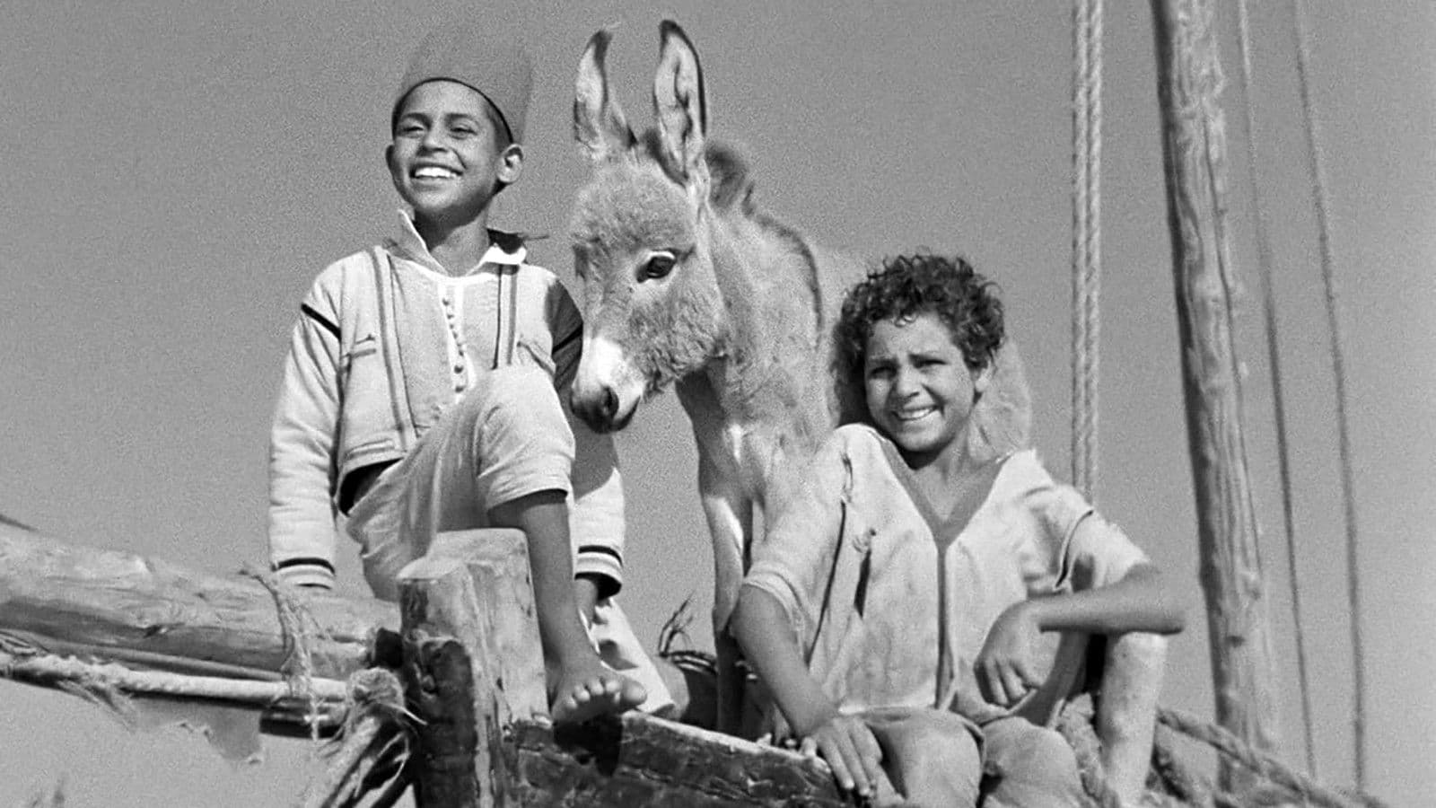 Backdrop for Bim, the Little Donkey