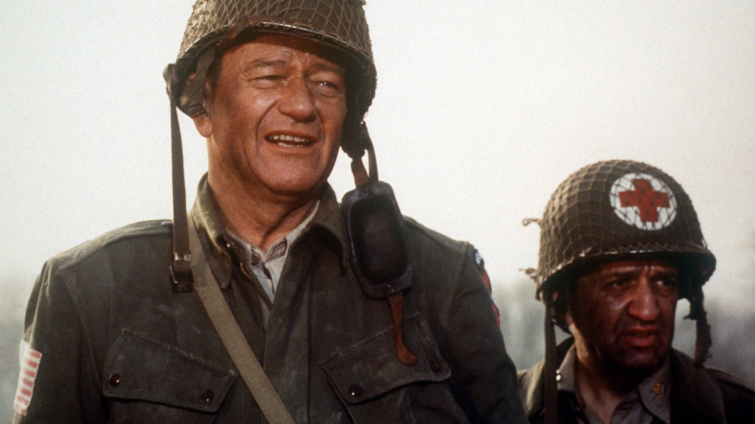 Backdrop for The Longest Day