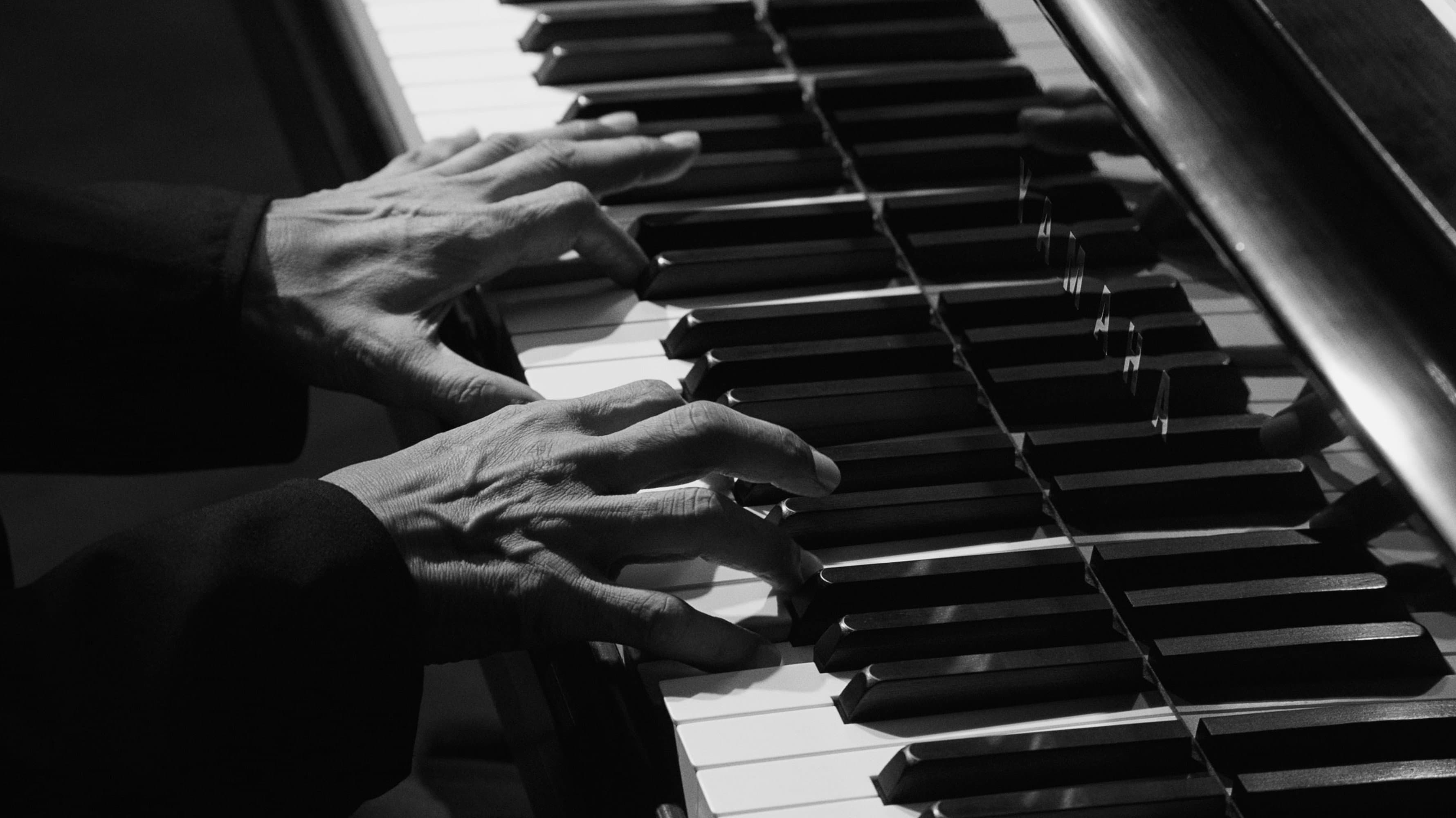 Backdrop for Ryuichi Sakamoto | Opus