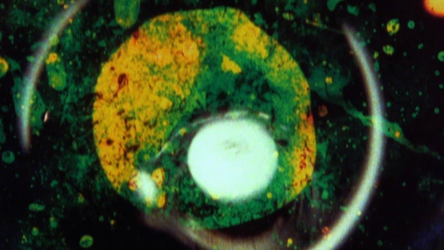 Backdrop for By Brakhage: An Anthology, Volume One