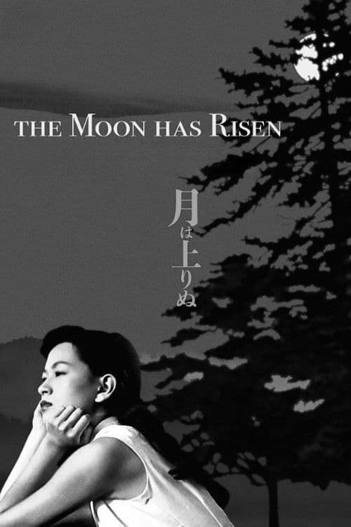 Poster for The Moon Has Risen