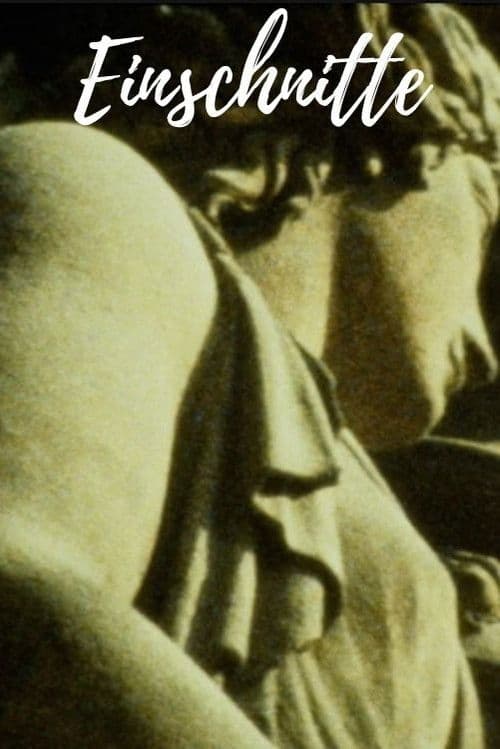 Poster for Einschnitte