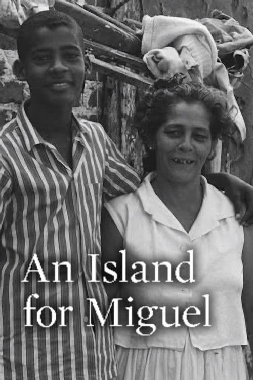 Poster for An Island for Miguel