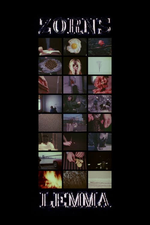 Poster for Zorns Lemma