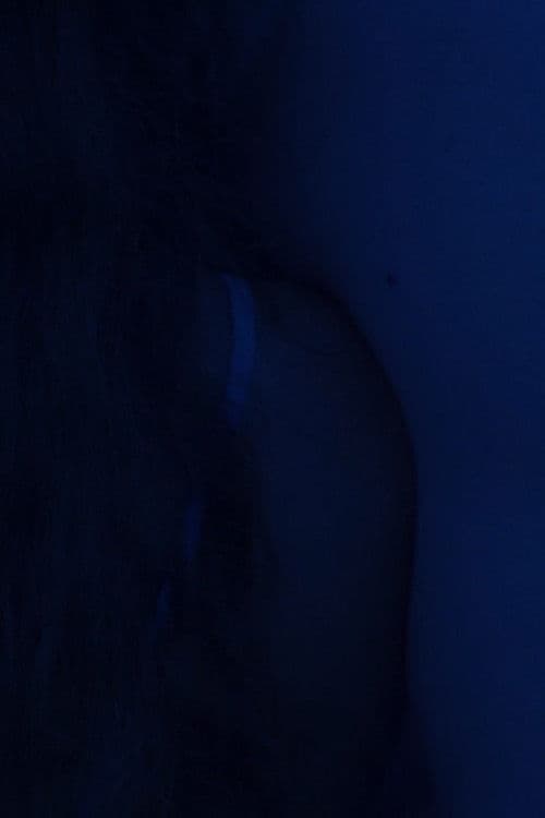 Poster for Oliver Sees Indigo