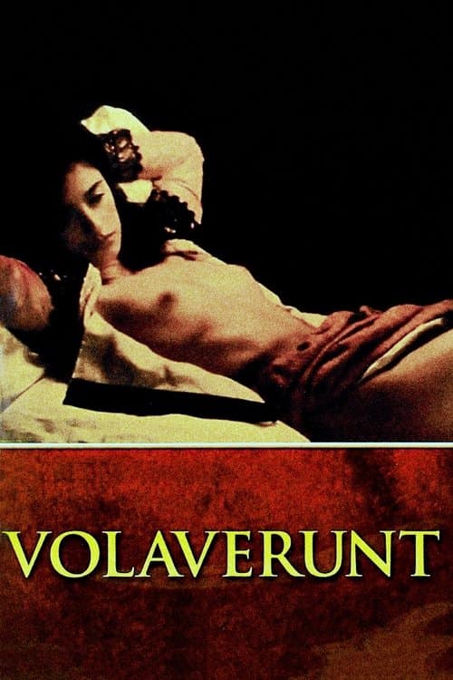 Poster for Volavérunt