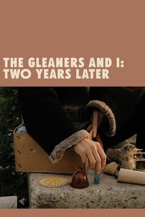 Poster for The Gleaners and I: Two Years Later