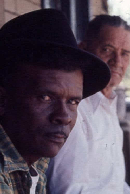 Poster for Woodcutters of the Deep South