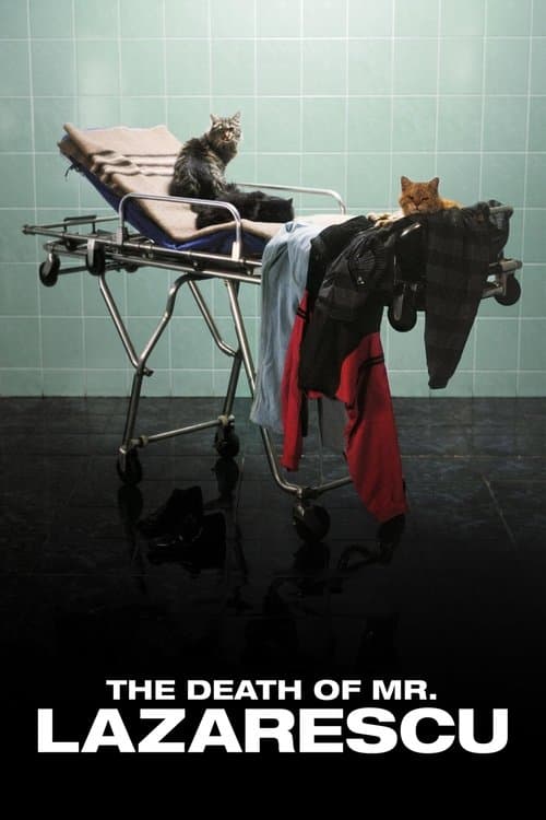 Poster for The Death of Mr. Lazarescu