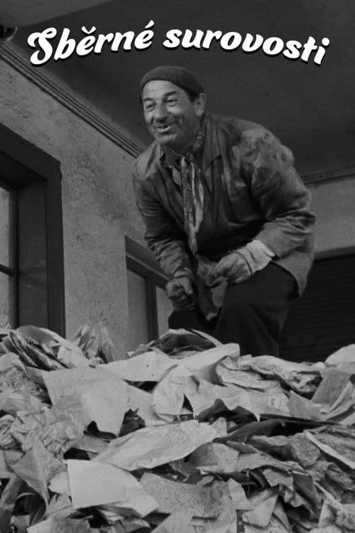 Poster for The Junk Shop