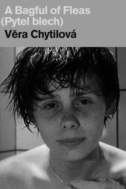 Poster for A Bagful of Fleas