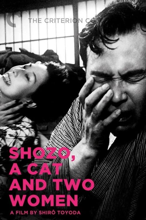 Poster for Shozo, a Cat, and Two Women