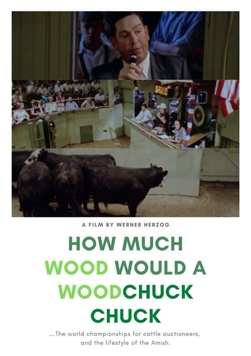 Poster for How Much Wood Would a Woodchuck Chuck?