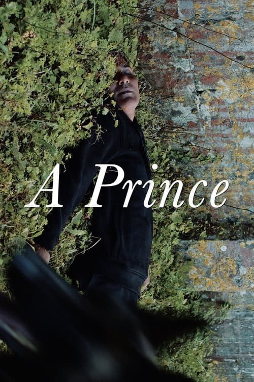 Poster for A Prince