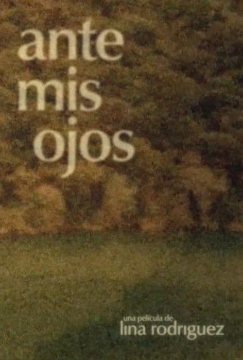 Poster for Ante mis ojos
