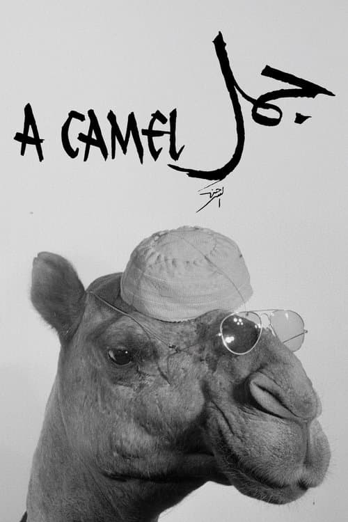 Poster for A Camel
