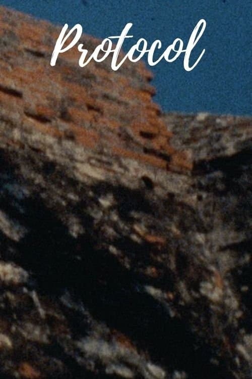 Poster for Protocol