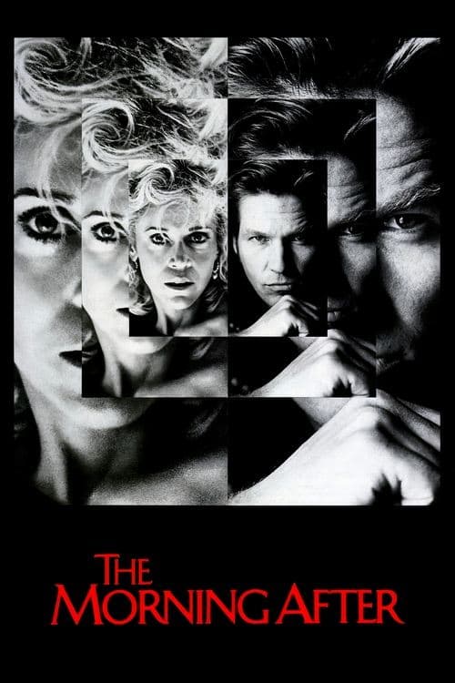 Poster for The Morning After